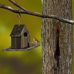 Bird House